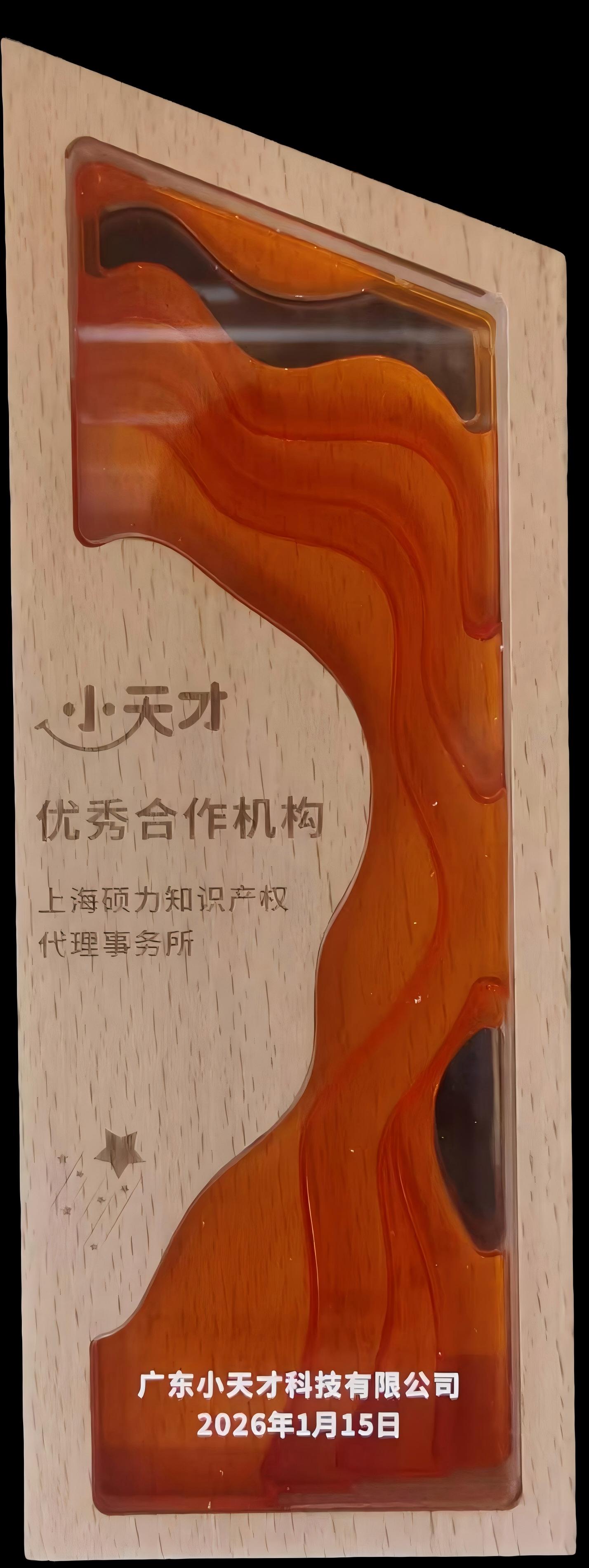 2025年度小天才优秀合作机构奖-1.jpg